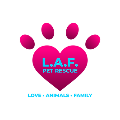 L.A.F. Pet Rescue | Todd Newton | The Todd Newton Show With Maria Todd | Country 105.1 The Wolf (WJZM)